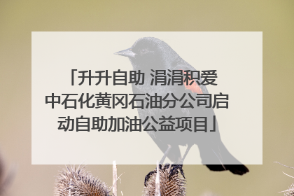 升升自助 涓涓积爱 中石化黄冈石油分公司启动自助加油公益项目