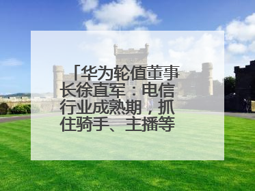 华为轮值董事长徐直军：电信行业成熟期，抓住骑手、主播等成长型需求