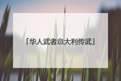 华人武者意大利传武