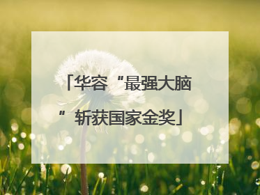 华容“最强大脑”斩获国家金奖