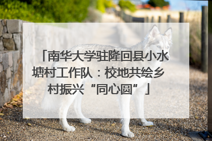南华大学驻隆回县小水塘村工作队：校地共绘乡村振兴“同心圆”