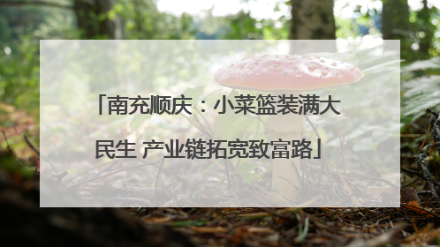 南充顺庆：小菜篮装满大民生 产业链拓宽致富路