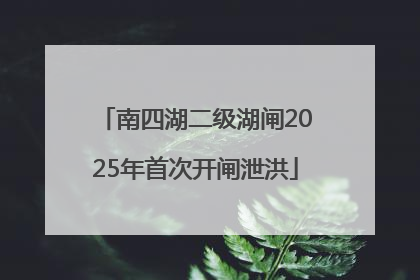 南四湖二级湖闸2025年首次开闸泄洪