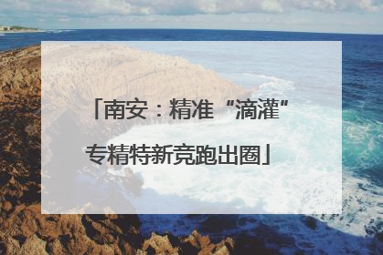 南安：精准“滴灌”专精特新竞跑出圈
