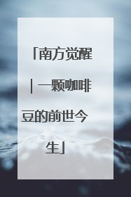 南方觉醒｜一颗咖啡豆的前世今生