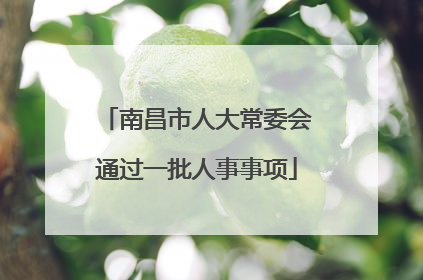 南昌市人大常委会通过一批人事事项
