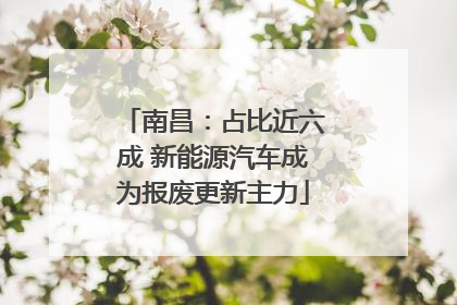 南昌：占比近六成 新能源汽车成为报废更新主力