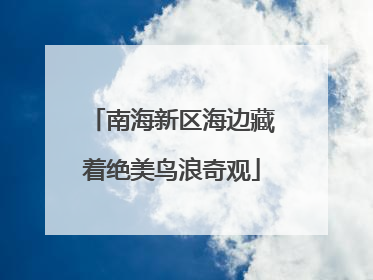 南海新区海边藏着绝美鸟浪奇观