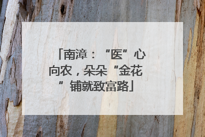 南漳：“医”心向农，朵朵“金花”铺就致富路