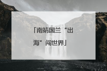 南靖国兰“出海”闯世界