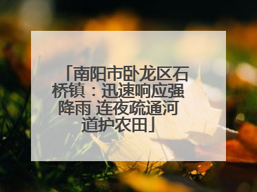 南阳市卧龙区石桥镇：迅速响应强降雨 连夜疏通河道护农田