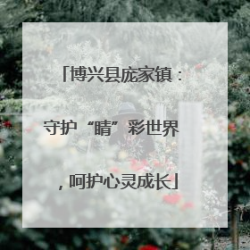 博兴县庞家镇：守护“睛”彩世界，呵护心灵成长