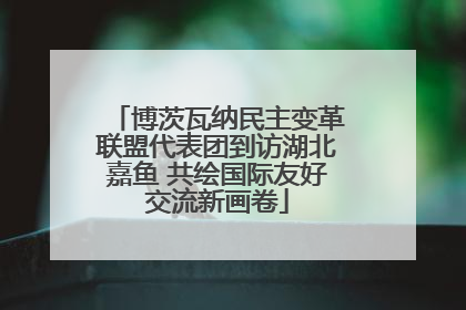 博茨瓦纳民主变革联盟代表团到访湖北嘉鱼 共绘国际友好交流新画卷