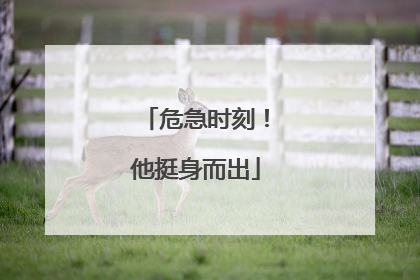 危急时刻！他挺身而出