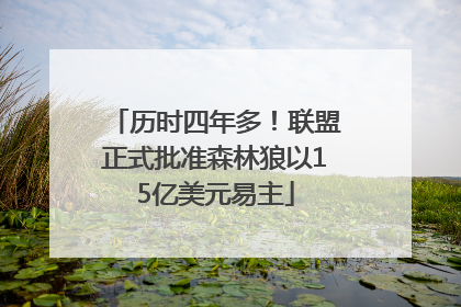 历时四年多！联盟正式批准森林狼以15亿美元易主
