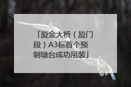 厦金大桥（厦门段）A3标首个预制墩台成功吊装