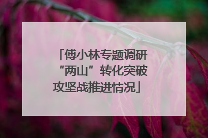 傅小林专题调研“两山”转化突破攻坚战推进情况