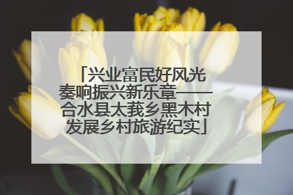 兴业富民好风光 奏响振兴新乐章——合水县太莪乡黑木村发展乡村旅游纪实