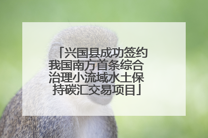 兴国县成功签约我国南方首条综合治理小流域水土保持碳汇交易项目