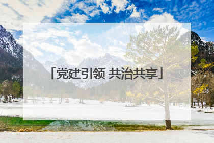 党建引领 共治共享