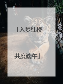 入梦红楼 共度端午