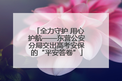 全力守护 用心护航——东营公安分局交出高考安保的“平安答卷”