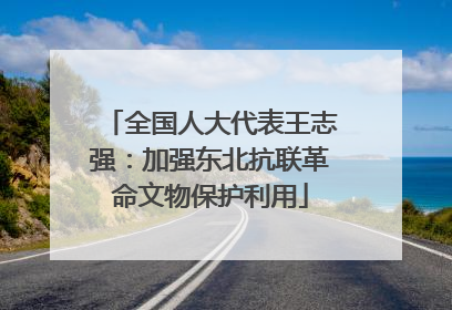 全国人大代表王志强：加强东北抗联革命文物保护利用