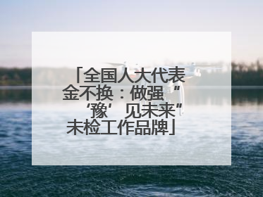 全国人大代表金不换：做强“‘豫’见未来”未检工作品牌