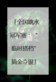 全国跳水冠军赛：“临时搭档”摘金夺银
