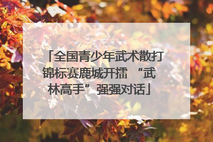 全国青少年武术散打锦标赛鹿城开擂 “武林高手”强强对话