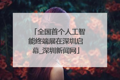 全国首个人工智能终端展在深圳启幕_深圳新闻网