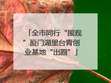 全市同行“围观”厦门湖里台青创业基地“出圈”