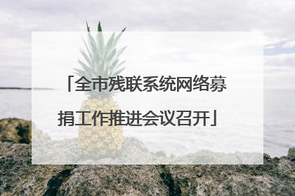 全市残联系统网络募捐工作推进会议召开