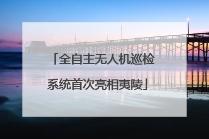 全自主无人机巡检系统首次亮相夷陵