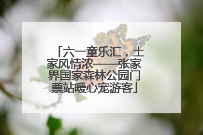 六一童乐汇，土家风情浓——张家界国家森林公园门票站暖心宠游客