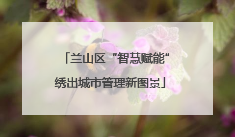 兰山区“智慧赋能”绣出城市管理新图景