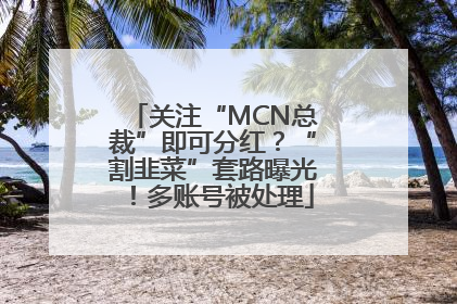 关注“MCN总裁”即可分红？“割韭菜”套路曝光！多账号被处理