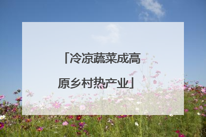 冷凉蔬菜成高原乡村热产业