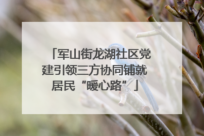 军山街龙湖社区党建引领三方协同铺就居民“暖心路”