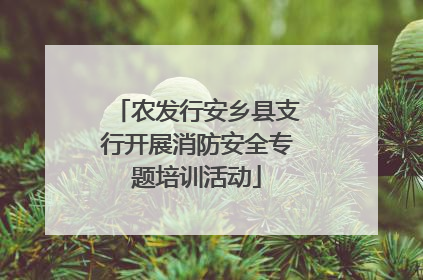 农发行安乡县支行开展消防安全专题培训活动