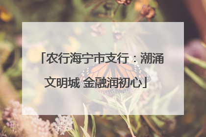 农行海宁市支行：潮涌文明城 金融润初心