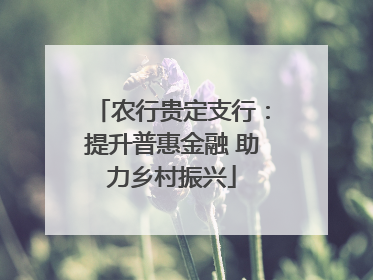 农行贵定支行：提升普惠金融 助力乡村振兴