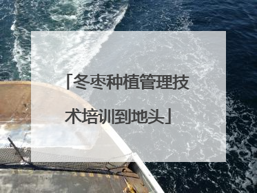 冬枣种植管理技术培训到地头