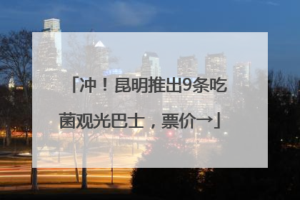冲！昆明推出9条吃菌观光巴士，票价→