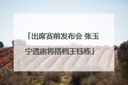 出席赛前发布会 张玉宁透露将搭档王钰栋