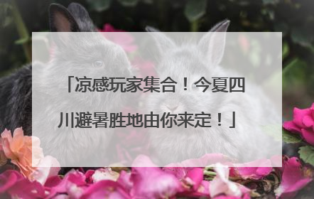 凉感玩家集合！今夏四川避暑胜地由你来定！