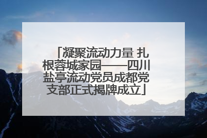 凝聚流动力量 扎根蓉城家园——四川盐亭流动党员成都党支部正式揭牌成立
