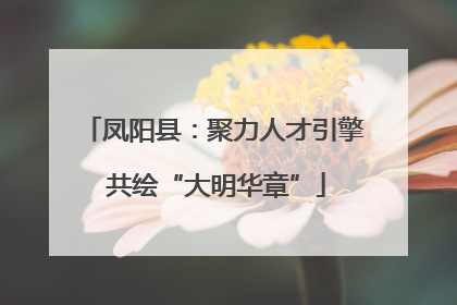凤阳县：聚力人才引擎 共绘“大明华章”