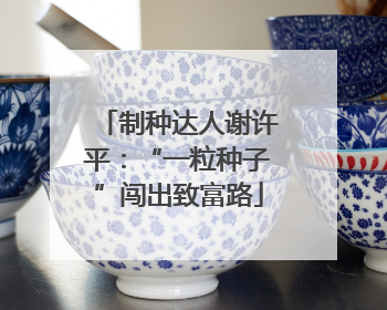 制种达人谢许平：“一粒种子”闯出致富路