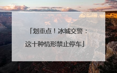 划重点！冰城交警：这十种情形禁止停车